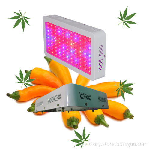 Growing Plants with LED Light Fixture 300W